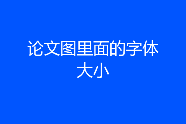 论文图里面的字体大小