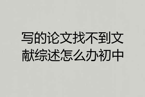 写的论文找不到文献综述怎么办初中