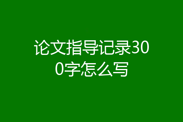 论文指导记录300字怎么写
