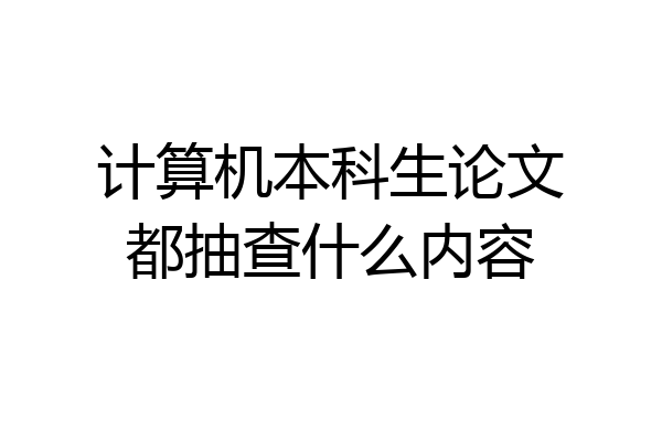 计算机本科生论文都抽查什么内容