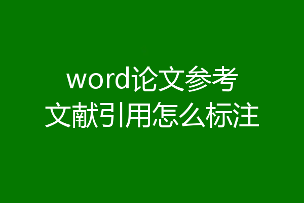word论文参考文献引用怎么标注
