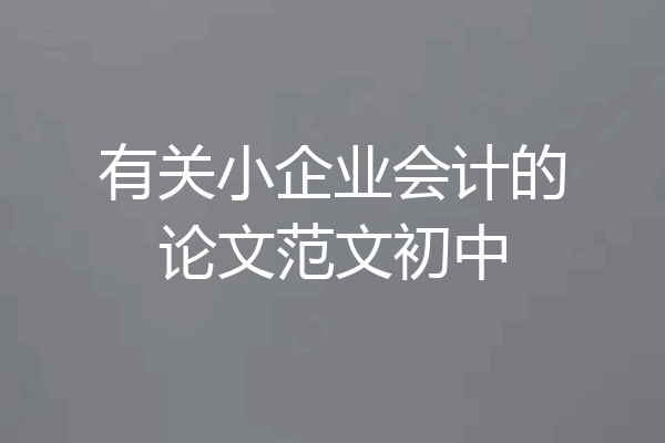 有关小企业会计的论文范文初中