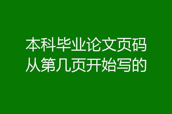 本科毕业论文页码从第几页开始写的