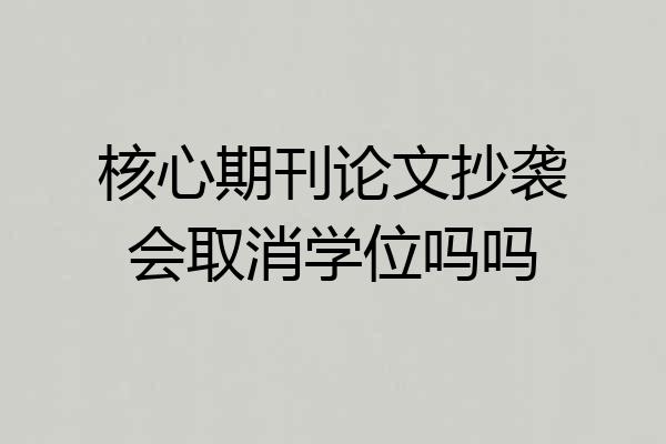 核心期刊论文抄袭会取消学位吗吗