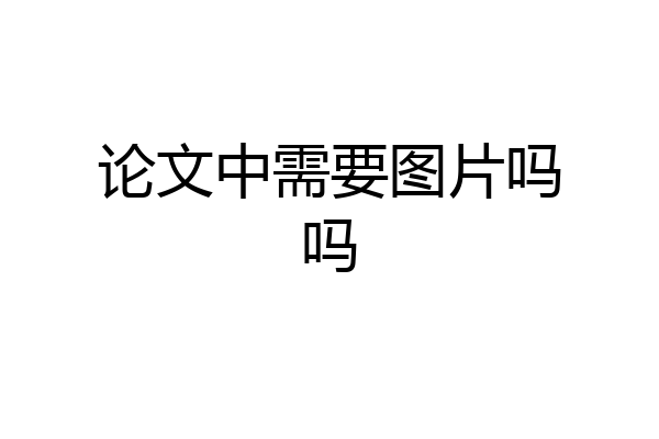论文中需要图片吗吗