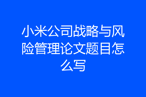 小米公司战略与风险管理论文题目怎么写