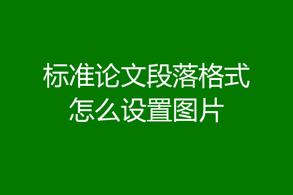 标准论文段落格式怎么设置图片
