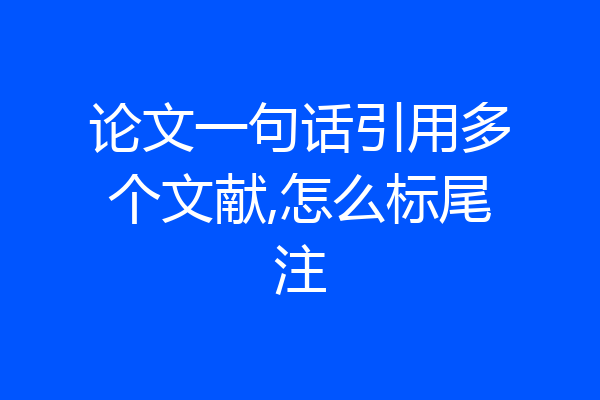 论文一句话引用多个文献,怎么标尾注
