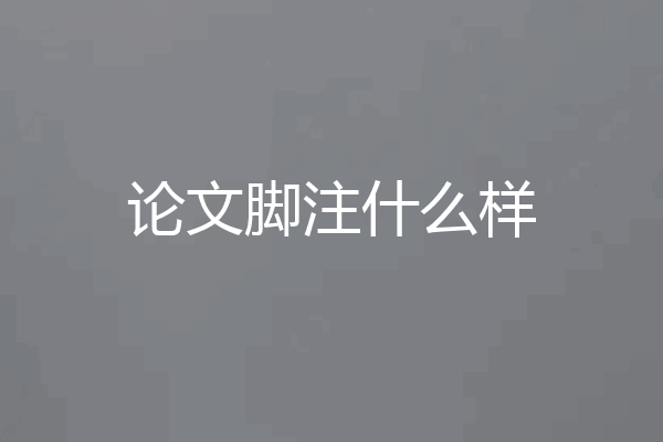 论文脚注什么样