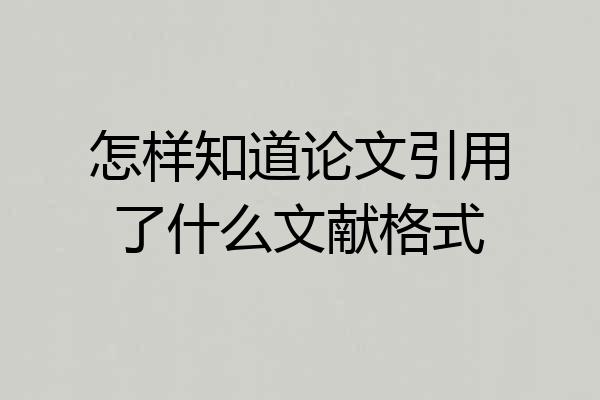 怎样知道论文引用了什么文献格式