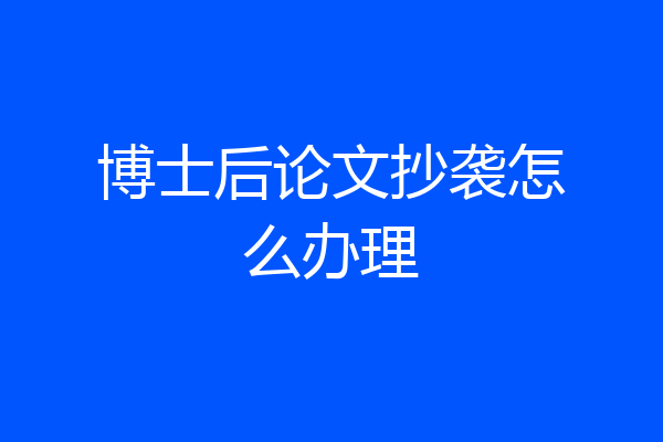 博士后论文抄袭怎么办理