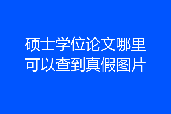 硕士学位论文哪里可以查到真假图片
