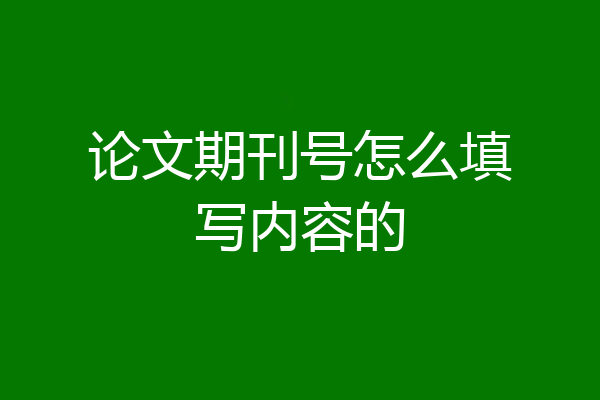 论文期刊号怎么填写内容的