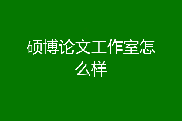 硕博论文工作室怎么样