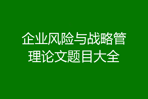 企业风险与战略管理论文题目大全