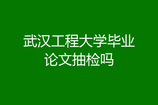 武汉工程大学毕业论文抽检吗