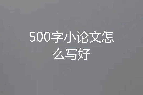 500字小论文怎么写好