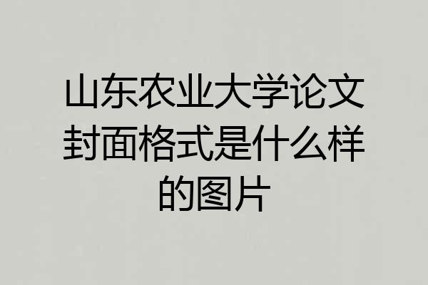山东农业大学论文封面格式是什么样的图片