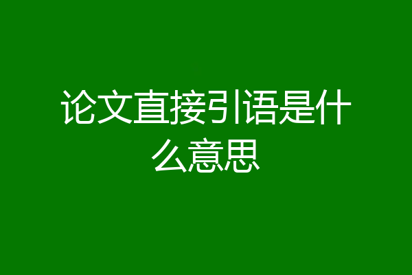 论文直接引语是什么意思