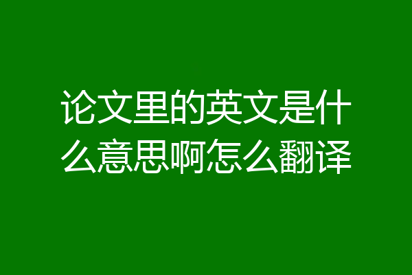 论文里的英文是什么意思啊怎么翻译