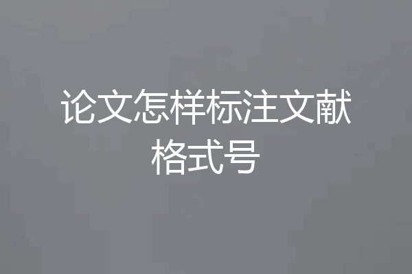 论文怎样标注文献格式号