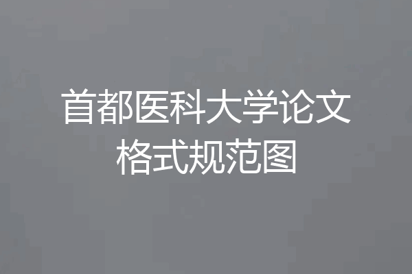 首都医科大学论文格式规范图