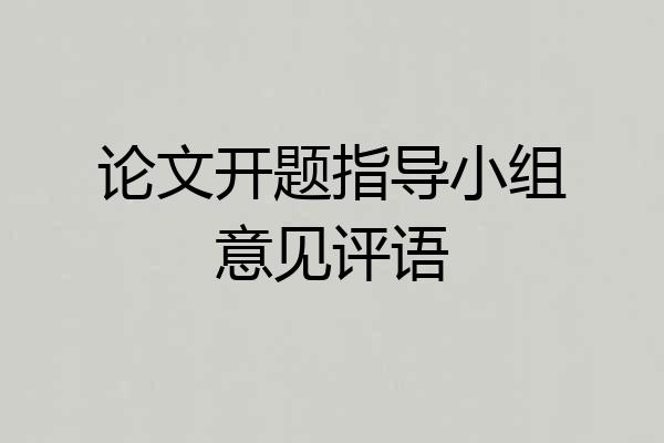 论文开题指导小组意见评语