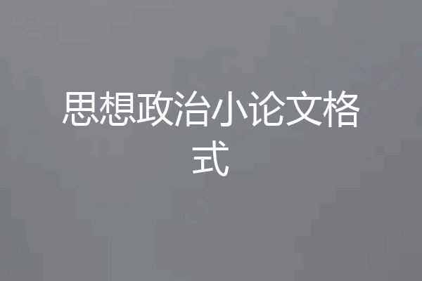 思想政治小论文格式
