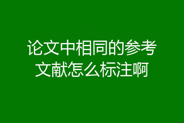 论文中相同的参考文献怎么标注啊