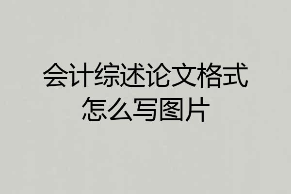 会计综述论文格式怎么写图片