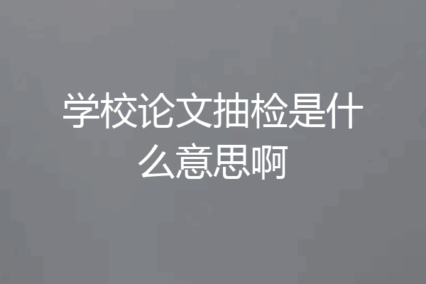 学校论文抽检是什么意思啊