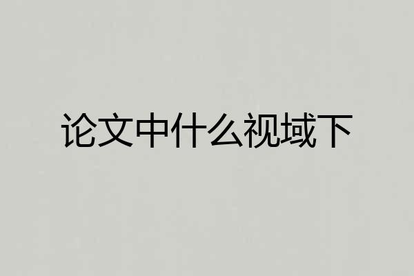 论文中什么视域下