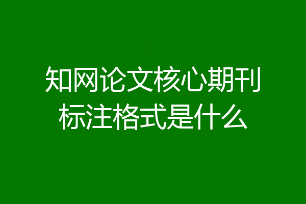 知网论文核心期刊标注格式是什么
