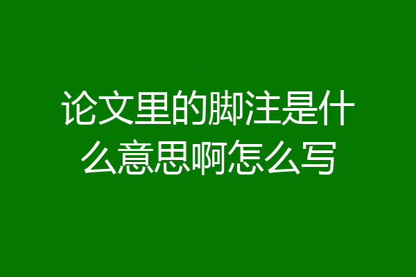 论文里的脚注是什么意思啊怎么写