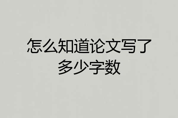 怎么知道论文写了多少字数