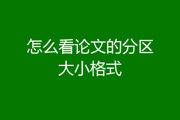 怎么看论文的分区大小格式