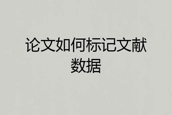 论文如何标记文献数据