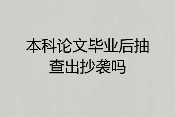 本科论文毕业后抽查出抄袭吗
