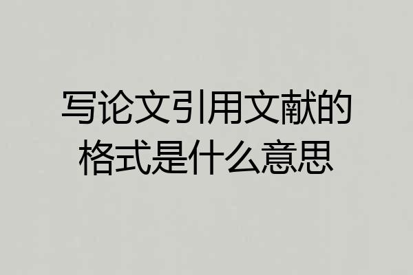 写论文引用文献的格式是什么意思