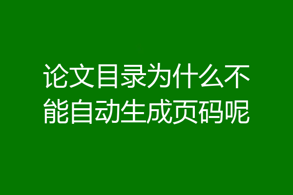论文目录为什么不能自动生成页码呢