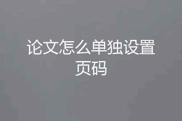论文怎么单独设置页码