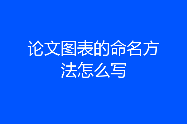 论文图表的命名方法怎么写