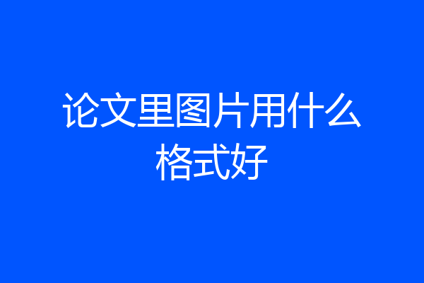 论文里图片用什么格式好