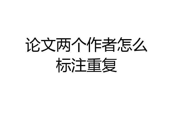 论文两个作者怎么标注重复