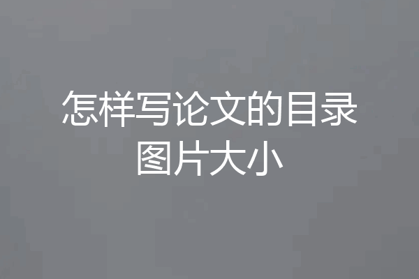 怎样写论文的目录图片大小