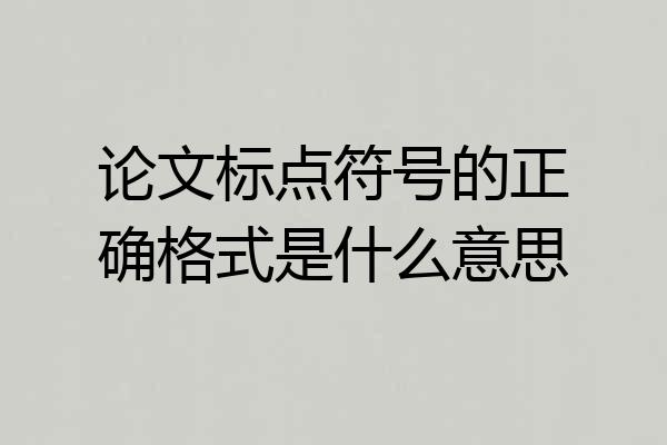 论文标点符号的正确格式是什么意思