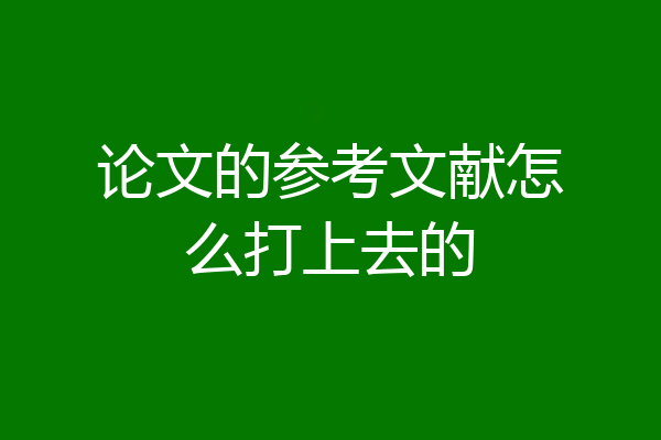 论文的参考文献怎么打上去的