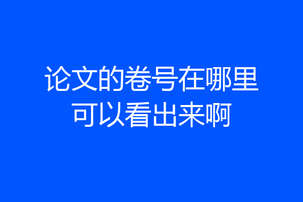 论文的卷号在哪里可以看出来啊