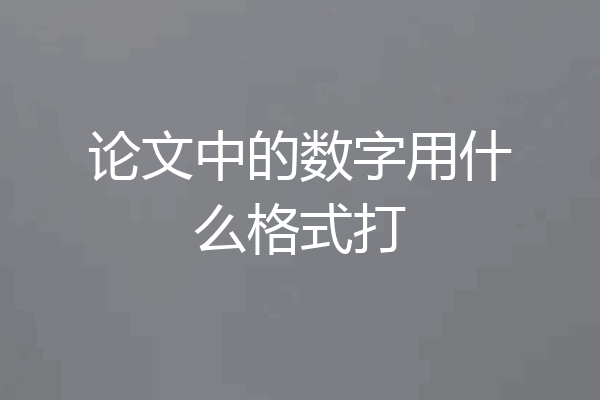 论文中的数字用什么格式打