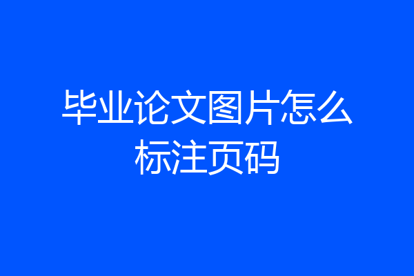 毕业论文图片怎么标注页码